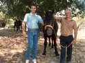 Ettore Martini e Enzo Tirocchi in posa con il cavallo Morello